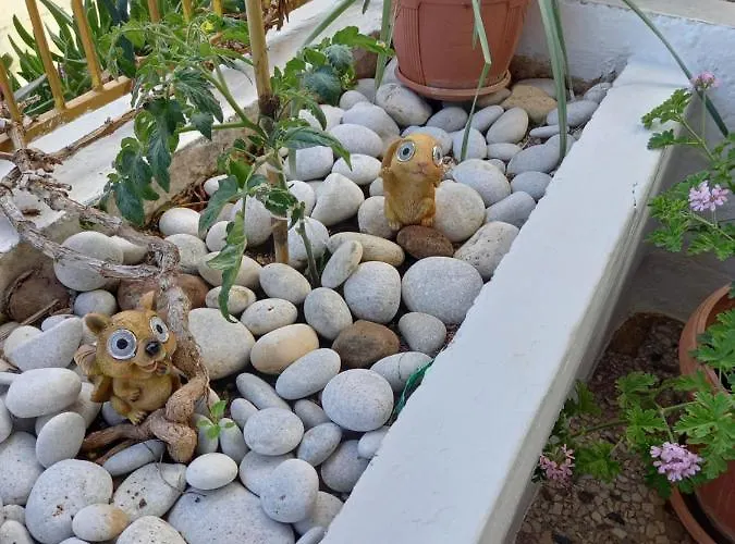 Alexandros Cosy House For Family Vacation * Chania (Crete)