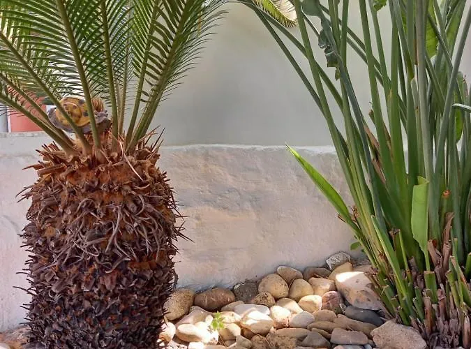 Alexandros Cosy House For Family Vacation Appartement