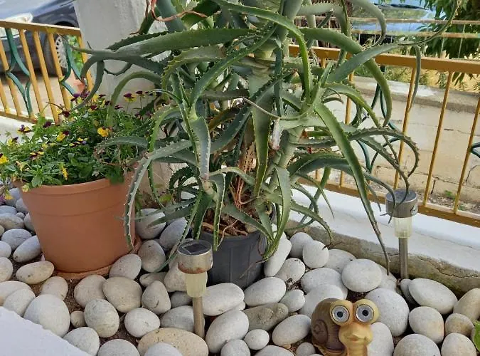 Appartement Alexandros Cosy House For Family Vacation