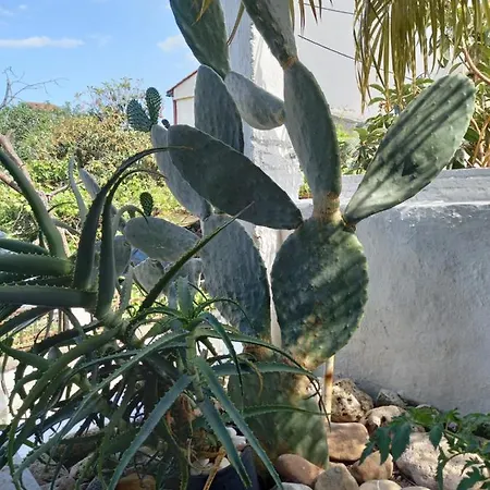 Alexandros Cosy House For Family Vacation