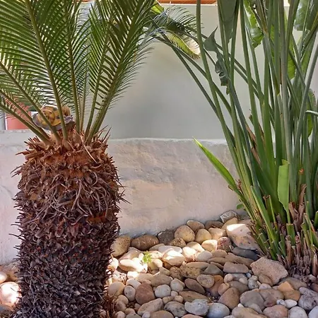 Alexandros Cosy House For Family Vacation Daire