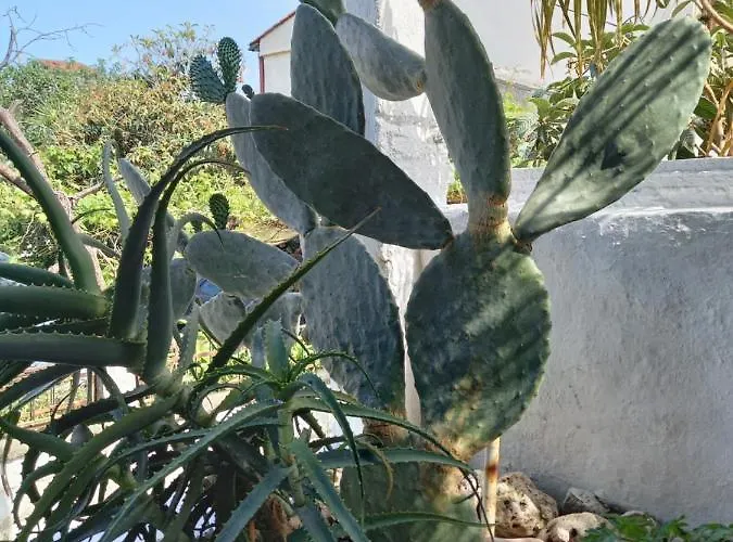 Alexandros Cosy House For Family Vacation